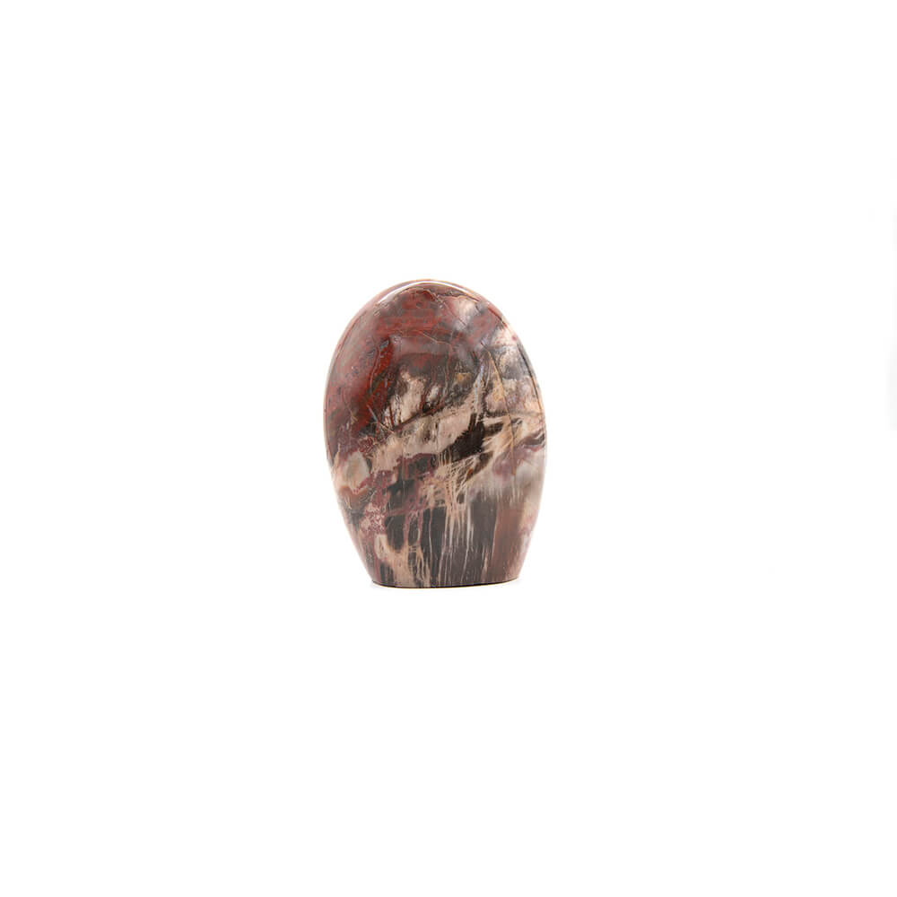 Arizona Petrified Wood is very rare and the sourcing area is closed now to collecting. Nice red top. Gorgeous patterns. 4.25x3.25x almost 2 inches.