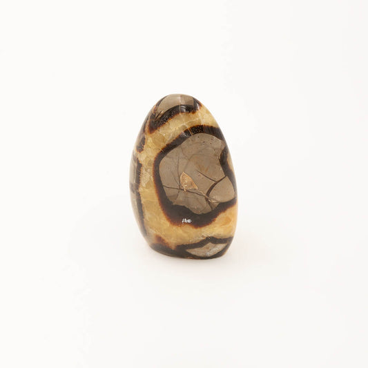 Super nice contrast on this sweet Septarian piece. Stands up sturdily. Approximately 5x3.5x2 inches in size.  Septarian is also known as Dragon Stone.