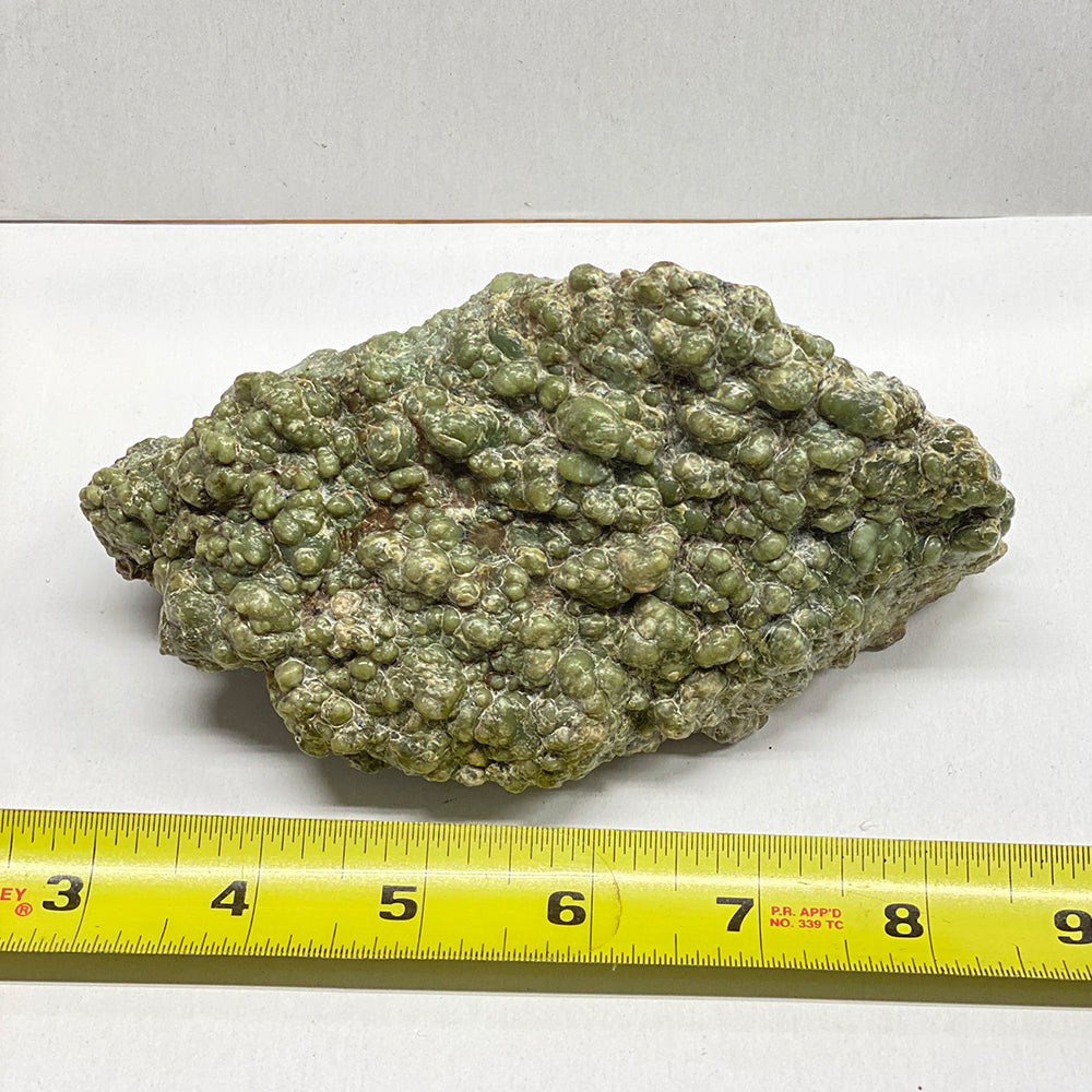 Mendocino Botryoidal Jade Rock. This gorgeous masterpiece was extracted directly from a Jade vein at the top of Leech Lake Mountain. It has been meticulously cleaned and polished with diamond paste to a sweet luster. These pieces are very rare, as the area has now been declared Wilderness. Our claims are no longer valid and we can no longer pick up Jade there.