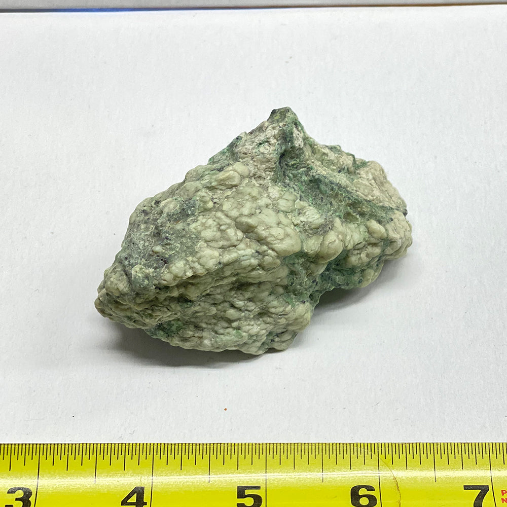 Botryoidal Jade Rock Covelo California. Shown wet. Really nice piece taken directly from the slide on top of Leech Lake Mountain. A little over 3 inches by about 1.5 inches. This light color is not very common on the mountain. Meticulously cleaned to expose the rare white botryoidal nugget features.