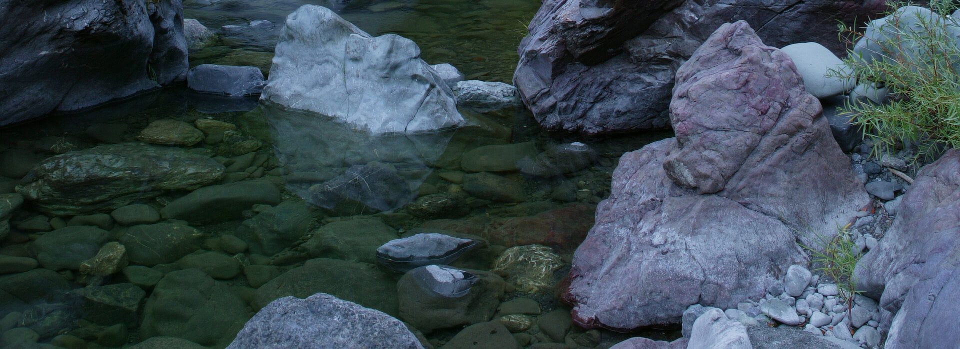 Plants and colored rocks amid clear water in riverbed, Trinity Mountain wilderness, California.