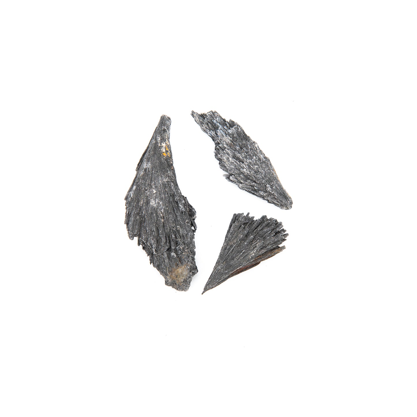 Black Kyanite Crystal Sprays. Nice shape and hue in these black Kyanite crystal sprays. Said to be a stone of protection. The sizes are around 2 inches with some 3 inches.
