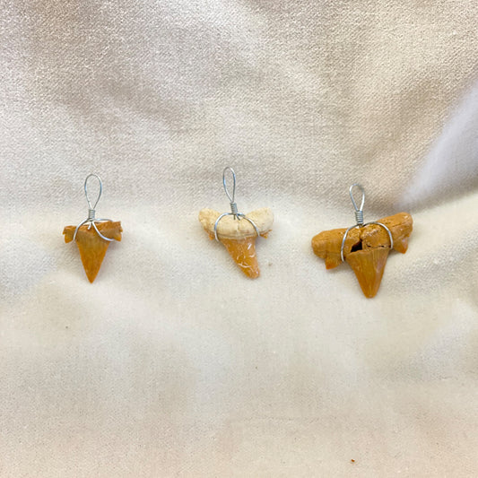 Shark Tooth Fossil Pendant.  Wire wrapped in stainless steel.  These are small teeth and perfect for the fossil or shark loving youngster.  Less than an inch each. 